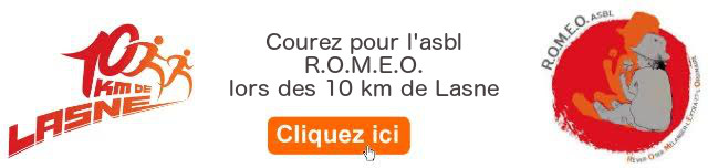 Banner Romeo10km texte